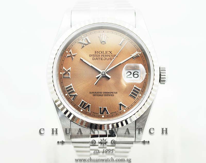 Rolex Gents DateJust 36mm 16234 Salmon Rhodium Roman - Discontinued