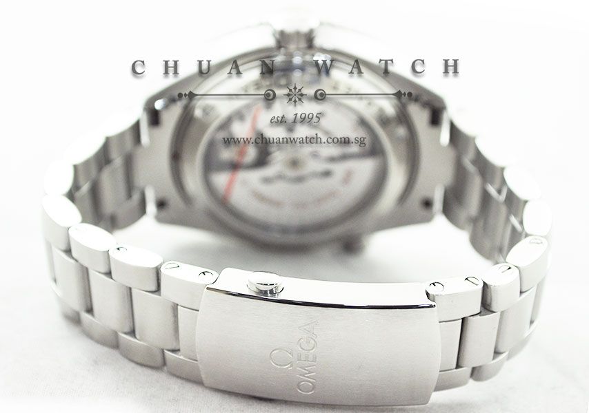 Omega Seamaster Planet Ocean 600M Co-Axial GMT Good Planet 43.5mm 232.30.44.22.01.002 - Image 4
