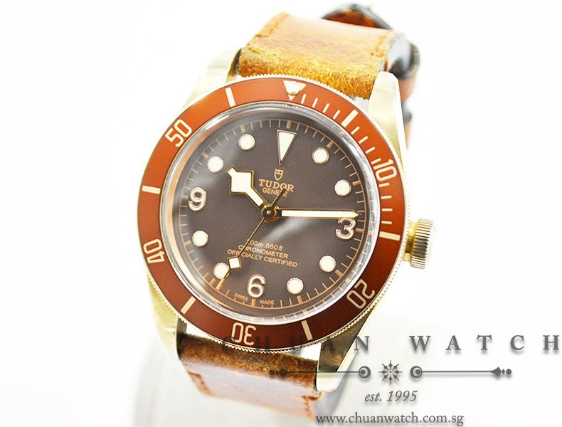 Tudor Heritage Black Bay Bronze 79250BM - Image 2