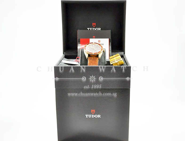 Tudor Heritage Black Bay Bronze 79250BM - Image 5
