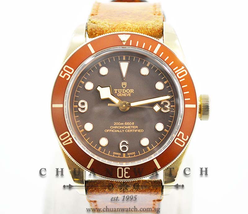 Tudor Heritage Black Bay Bronze 79250BM