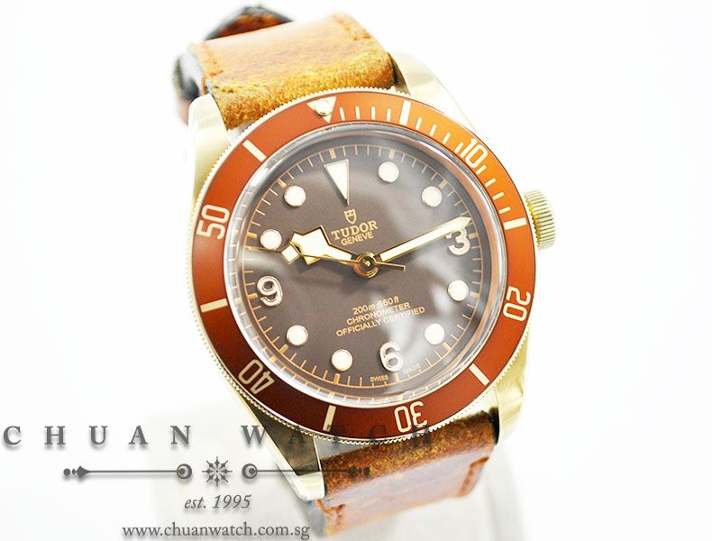 Tudor Heritage Black Bay Bronze 79250BM - Image 3