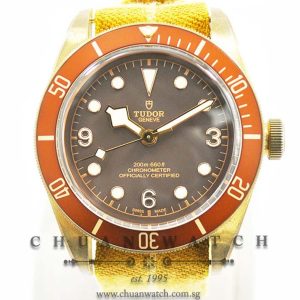 Tudor Heritage Black Bay Bronze 79250BM