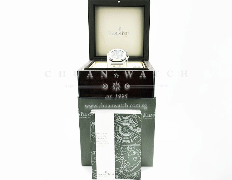 Audemars Piguet Royal Oak Offshore Grey Themes Titanium 42mm 26170TI - Discontinued - Image 5