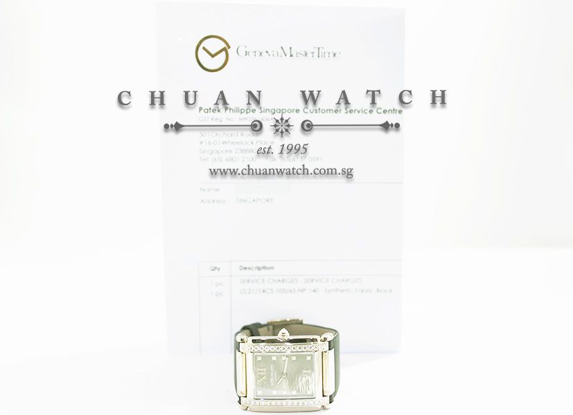 Patek Philippe Twenty~4 Quartz White Gold 4920G-001 Eternal Gray - Discontinued - Image 5