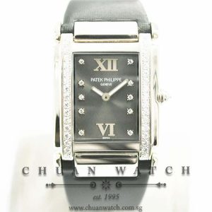 Patek Philippe Twenty~4 Quartz White Gold 4920G-001 Eternal Gray - Discontinued