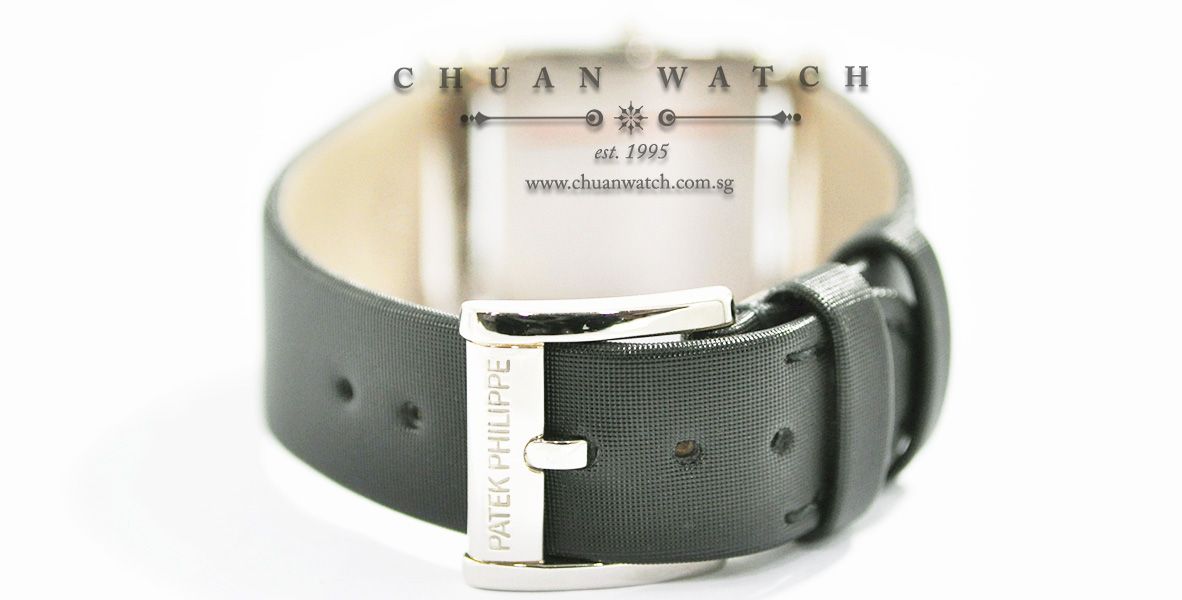 Patek Philippe Twenty~4 Quartz White Gold 4920G-001 Eternal Gray - Discontinued - Image 4