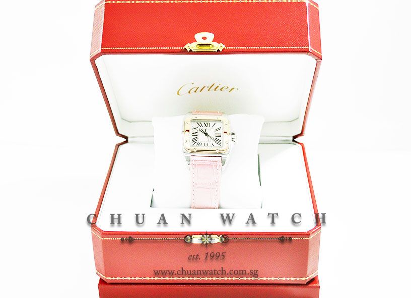 Cartier Santos 100 Midsize Two-Tone W20107X7 - Discontinued - Image 5