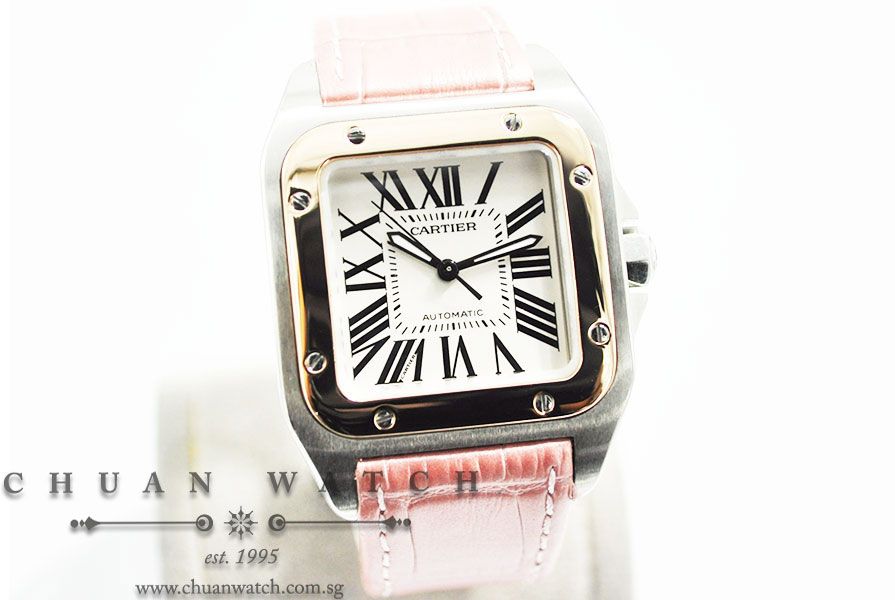 Cartier Santos 100 Midsize Two-Tone W20107X7 - Discontinued - Image 3