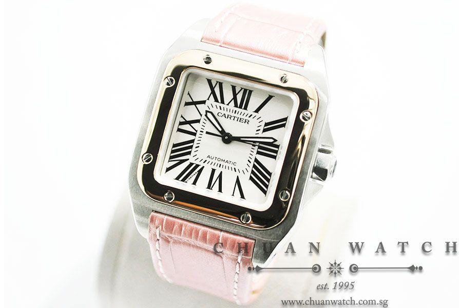 Cartier Santos 100 Midsize Two-Tone W20107X7 - Discontinued - Image 2
