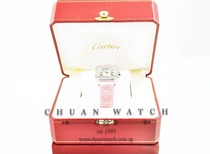 Cartier Santos 100 Midsize W20126X8 - Discontinued - Image 5