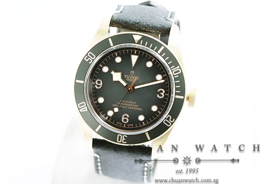 Tudor Black Bay Bronze Slate Grey 43mm 79250BA - Image 2