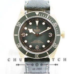 Tudor Black Bay Bronze Slate Grey 43mm 79250BA