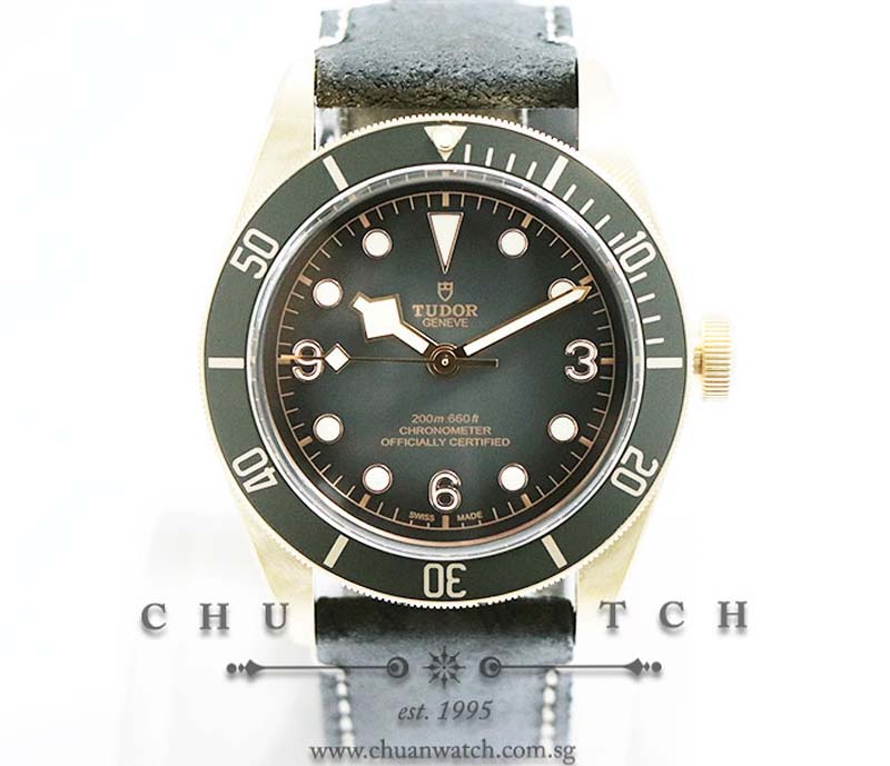 Tudor Black Bay Bronze Slate Grey 43mm 79250BA