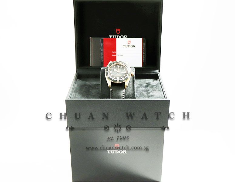 Tudor Black Bay Bronze Slate Grey 43mm 79250BA - Image 5