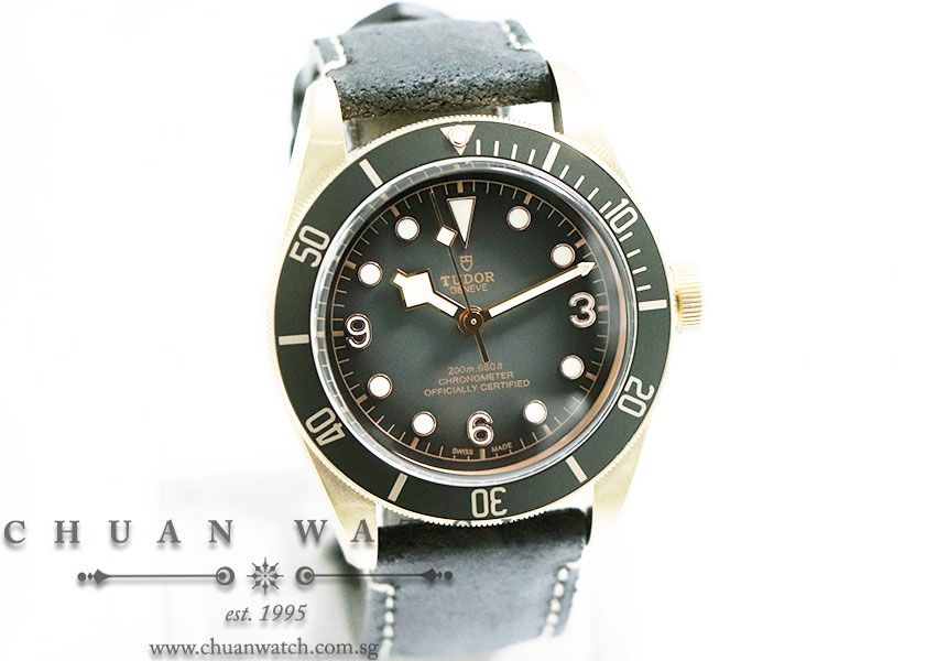 Tudor Black Bay Bronze Slate Grey 43mm 79250BA - Image 3