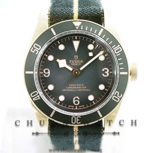 Tudor Black Bay Bronze Slate Grey 43mm 79250BA