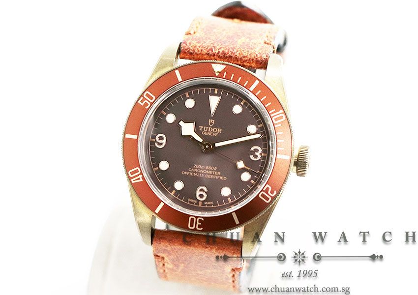 Tudor Black Bay Bronze 43mm 79250BM - Discontinued - Image 2