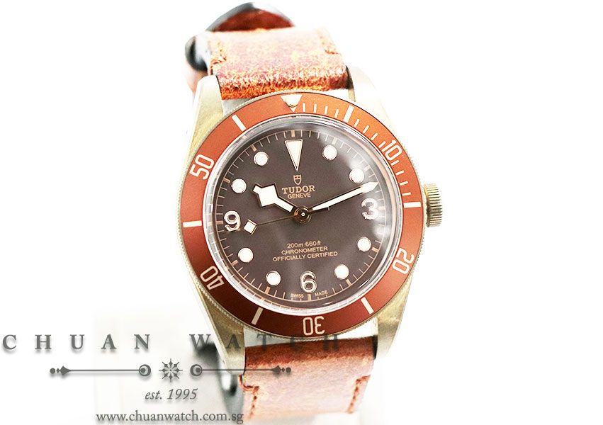 Tudor Black Bay Bronze 43mm 79250BM - Discontinued - Image 3