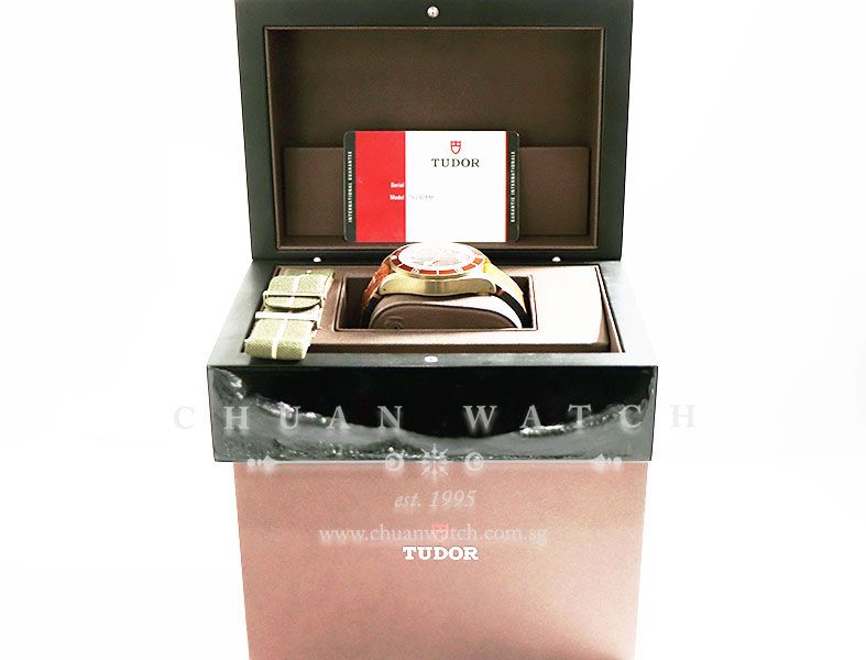 Tudor Black Bay Bronze 43mm 79250BM - Discontinued - Image 5