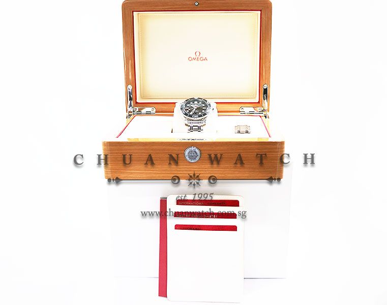 Omega Seamaster Diver 300M Co-Axial Master Chronometer 42mm 210.30.42.20.01.001 - Image 5