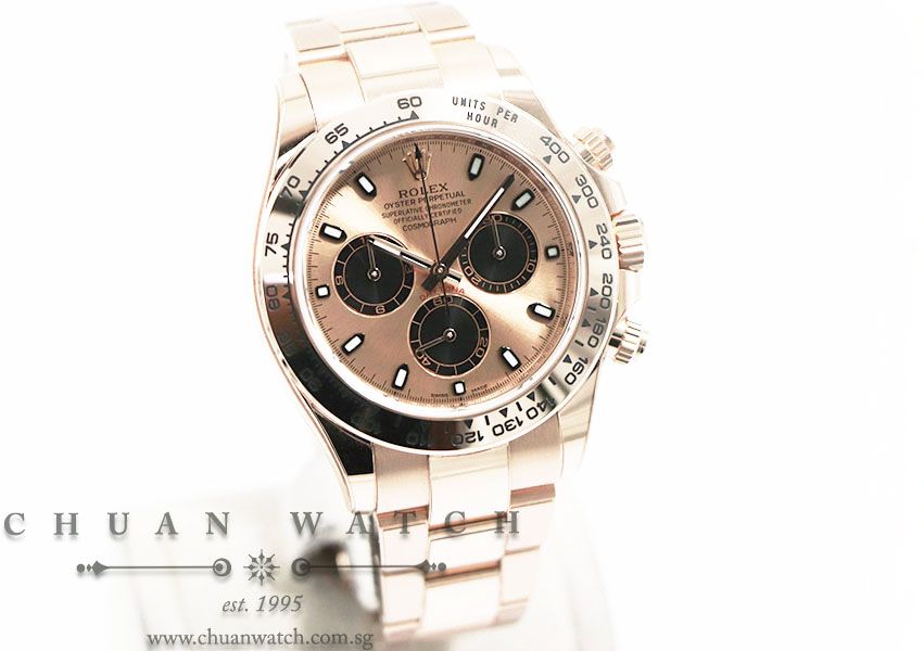 Rolex Cosmograph Daytona Everose 116505 Pink Sunburst Black Index Panda - Image 3