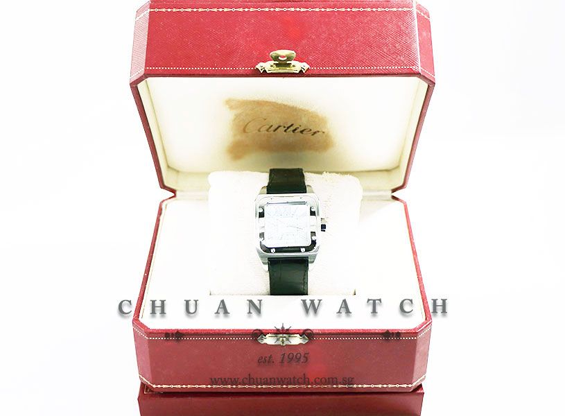 Cartier Santos 100 Midsize W20132X8 Blue MOP Roman - Discontinued - Image 5