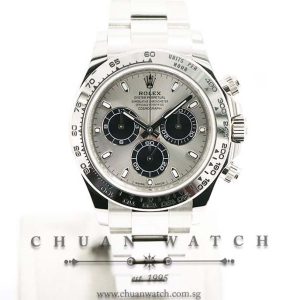 Rolex Cosmograph Daytona White Gold 116509 Steel Panda