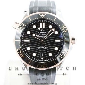 Omega Seamaster Diver 300M Co-Axial Master Chronometer Two-Tone 42mm 210.22.42.20.01.002