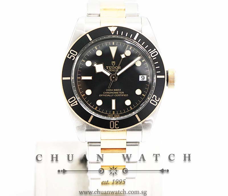 Tudor Heritage Black Bay S&G Two-Tone 41mm 79733N