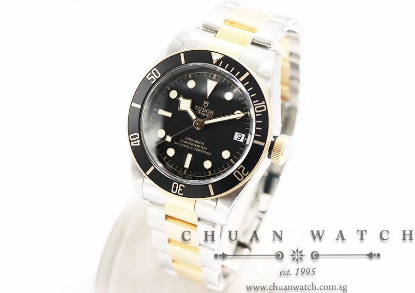 Tudor Heritage Black Bay S&G Two-Tone 41mm 79733N - Image 2