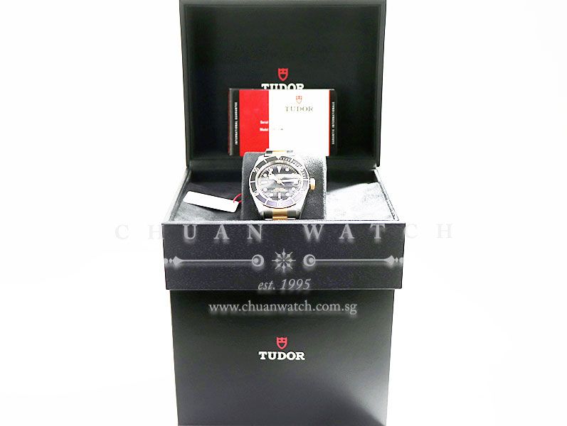 Tudor Heritage Black Bay S&G Two-Tone 41mm 79733N - Image 5