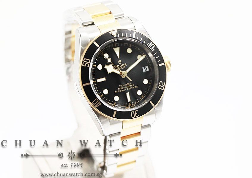 Tudor Heritage Black Bay S&G Two-Tone 41mm 79733N - Image 3