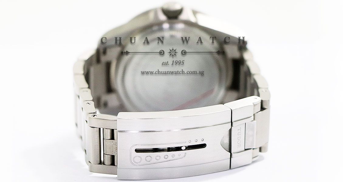 Tudor Pelagos LHD Titanium 42mm 25610TNL - Image 4