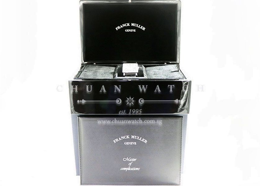 Franck Muller Ladies Master Square Quartz 6002 M B QZ Silver Painted Roman - Image 5