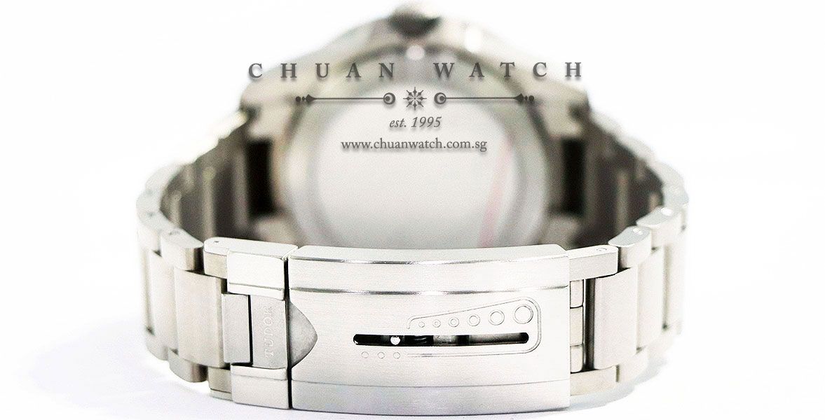 Tudor Pelagos Titanium 2-Liner 42mm 25500TN - Discontinued - Image 2