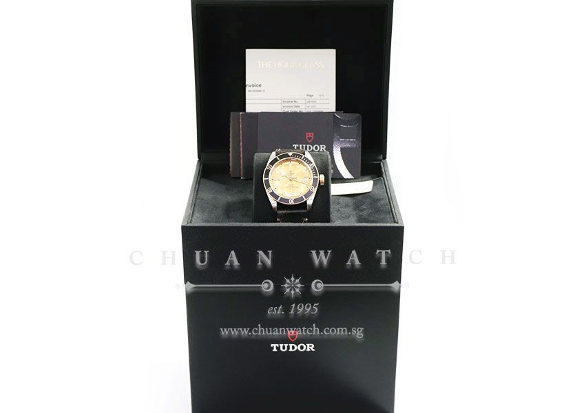 Tudor Black Bay S&G Two-Tone 41mm 79733N Champagne - Image 3