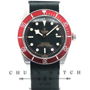 Tudor Black Bay Burgundy 41mm 79230R - Discontinued
