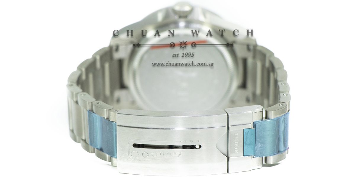 Tudor Pelagos LHD Titanium 42mm 25610TNL - Image 2