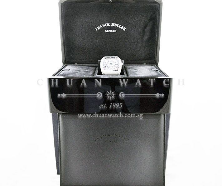 Franck Muller Vanguard Titanium V 45 SC DT TT BR NR - Image 5