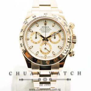 Rolex Cosmograph Daytona Everose 116505 Ivory Index