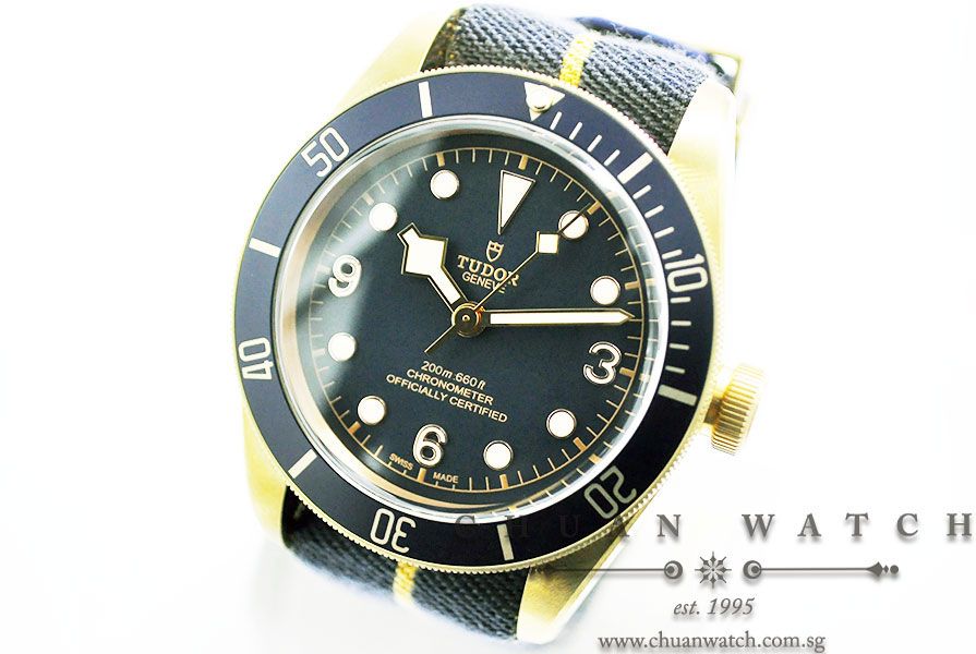 Tudor Heritage Black Bay Bronze Blue Bucherer Edition 43mm 79250BB - Image 2