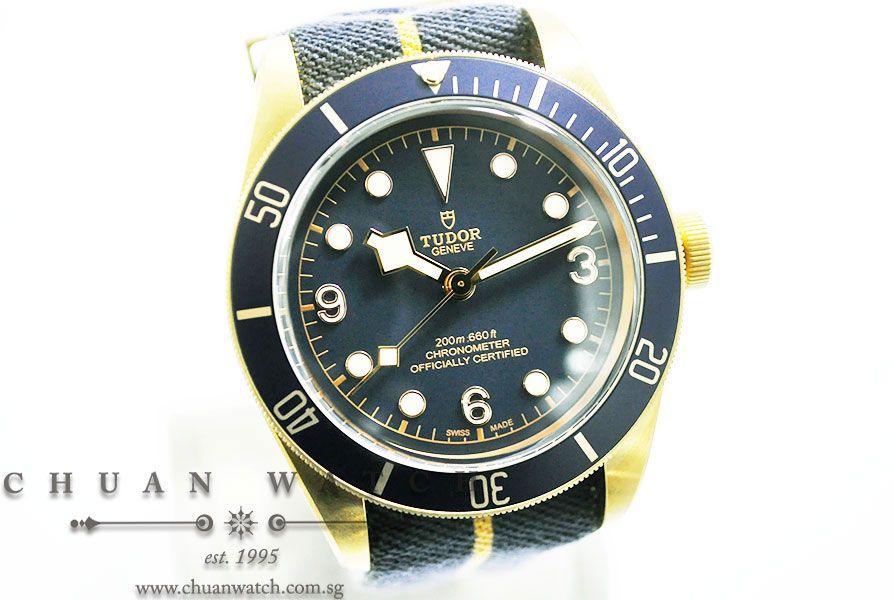 Tudor Heritage Black Bay Bronze Blue Bucherer Edition 43mm 79250BB - Image 3