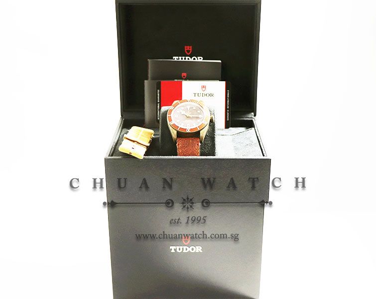 Tudor Black Bay Bronze 43mm 79250BM - Discontinued - Image 5