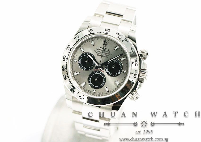 Rolex Cosmograph Daytona White Gold 116509 Steel Sunburst Panda - Image 2