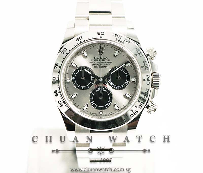Rolex Cosmograph Daytona White Gold 116509 Steel Sunburst Panda