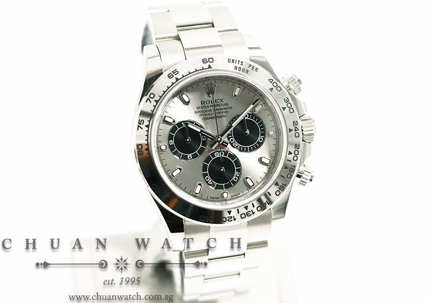 Rolex Cosmograph Daytona White Gold 116509 Steel Sunburst Panda - Image 3