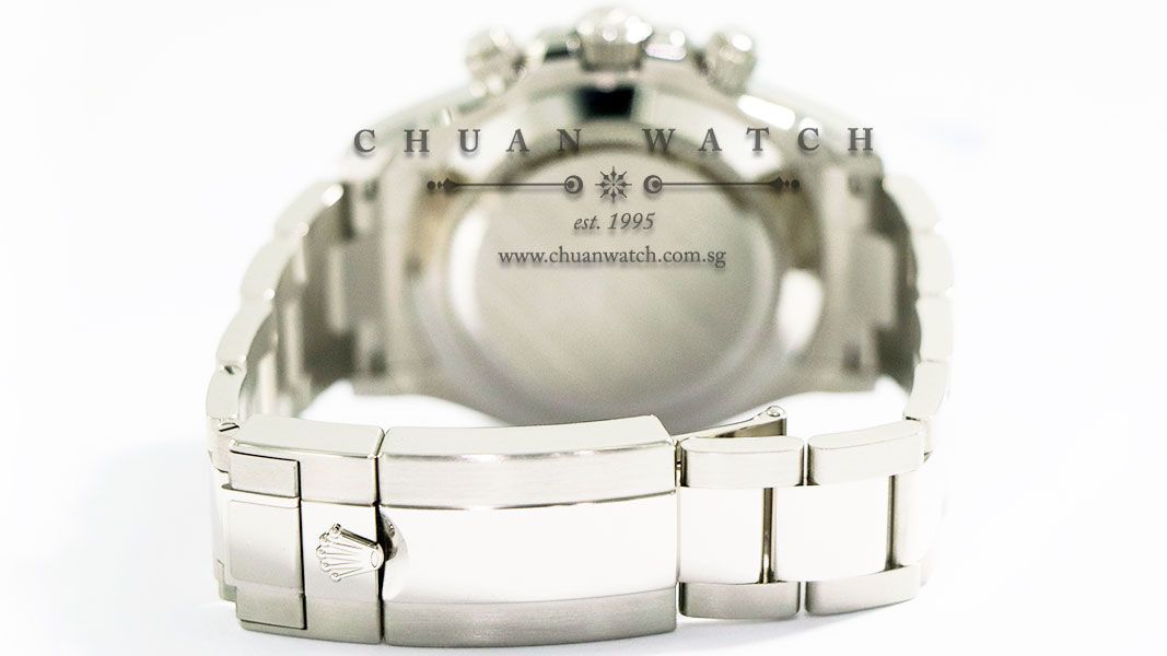 Rolex Cosmograph Daytona White Gold 116509 Steel Sunburst Panda - Image 4