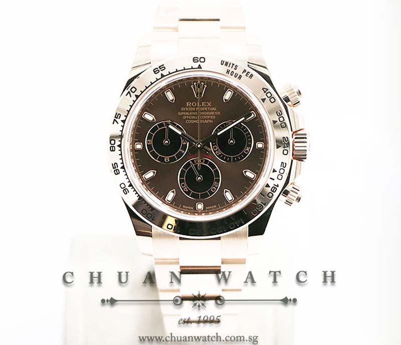 Rolex Cosmograph Daytona Everose 116505 Chocolate Sunburst Index
