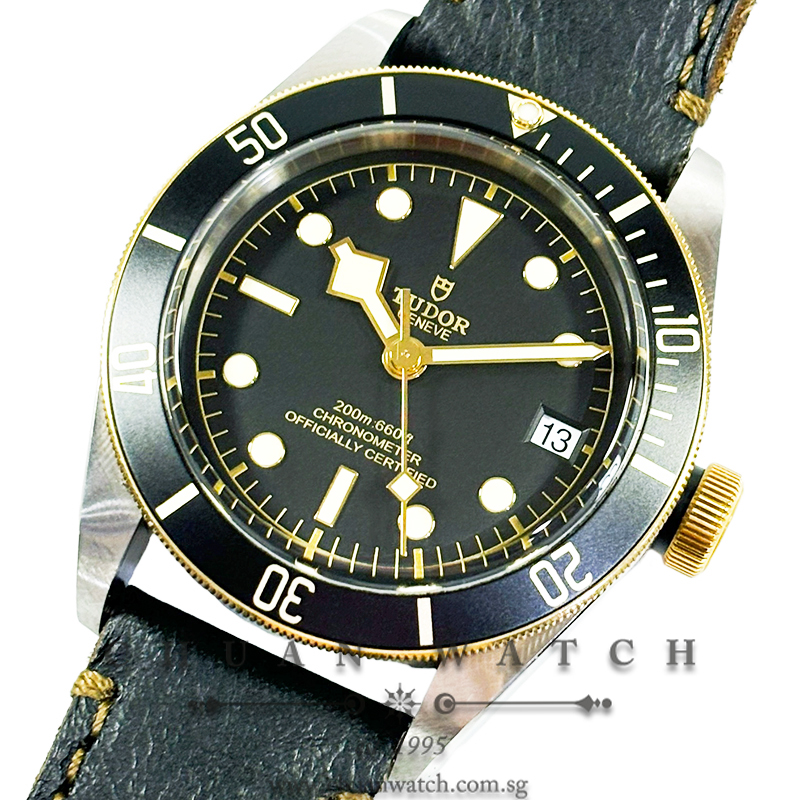Tudor Black Bay S&G Two-Tone 41mm 79733N Black
